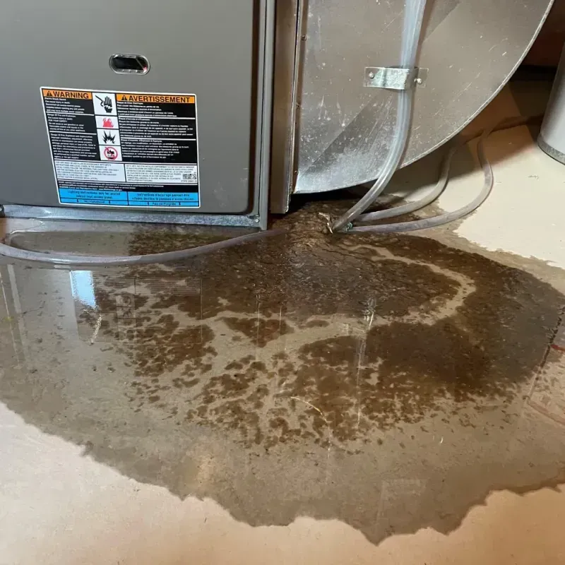 Appliance Leak Cleanup in Clay County, FL